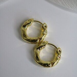 10k gold plated Earrings